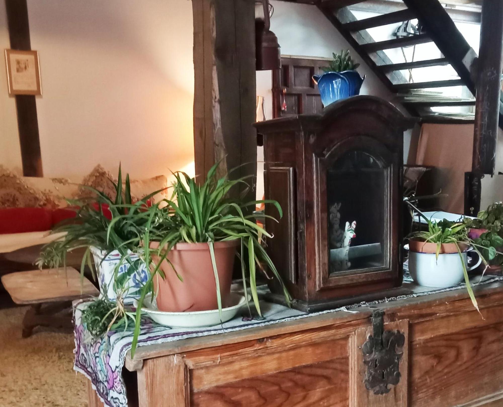 Suite En Cuadra Pajar, Casa Rural Hoz de Jaca Εξωτερικό φωτογραφία